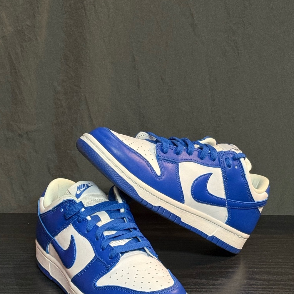 Nike Dunk Low Special Edition - image 1